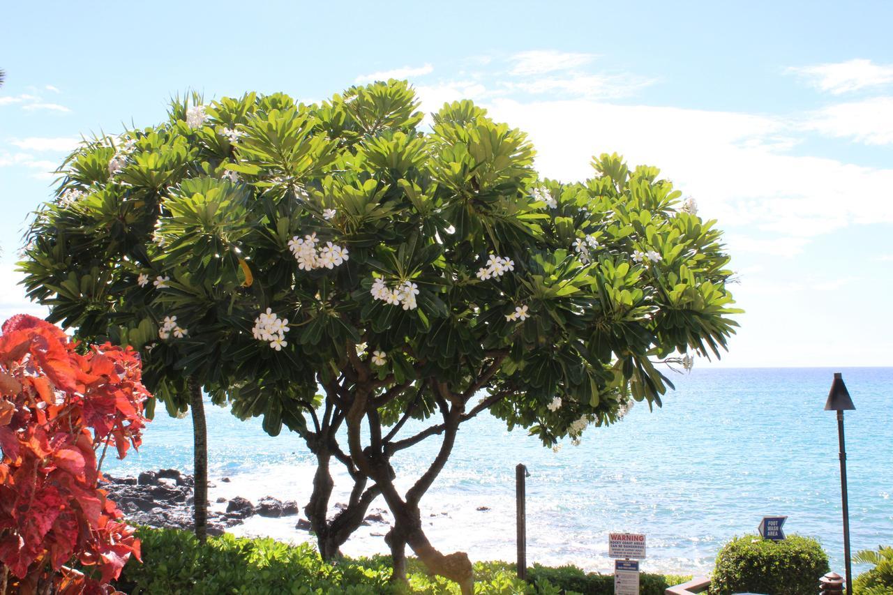 Kuleana Resort 618 라하이나 외부 사진